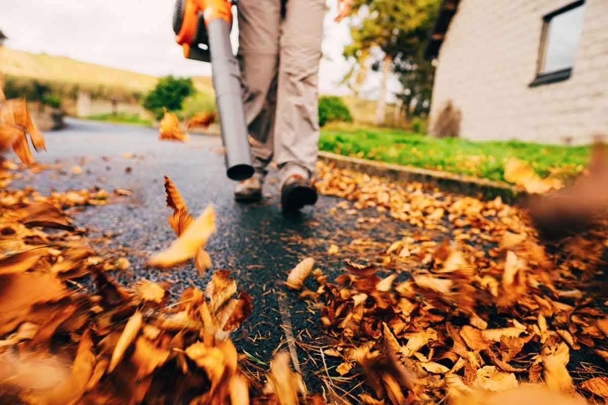 Leaf Blower