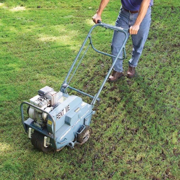 Aerate the Soil