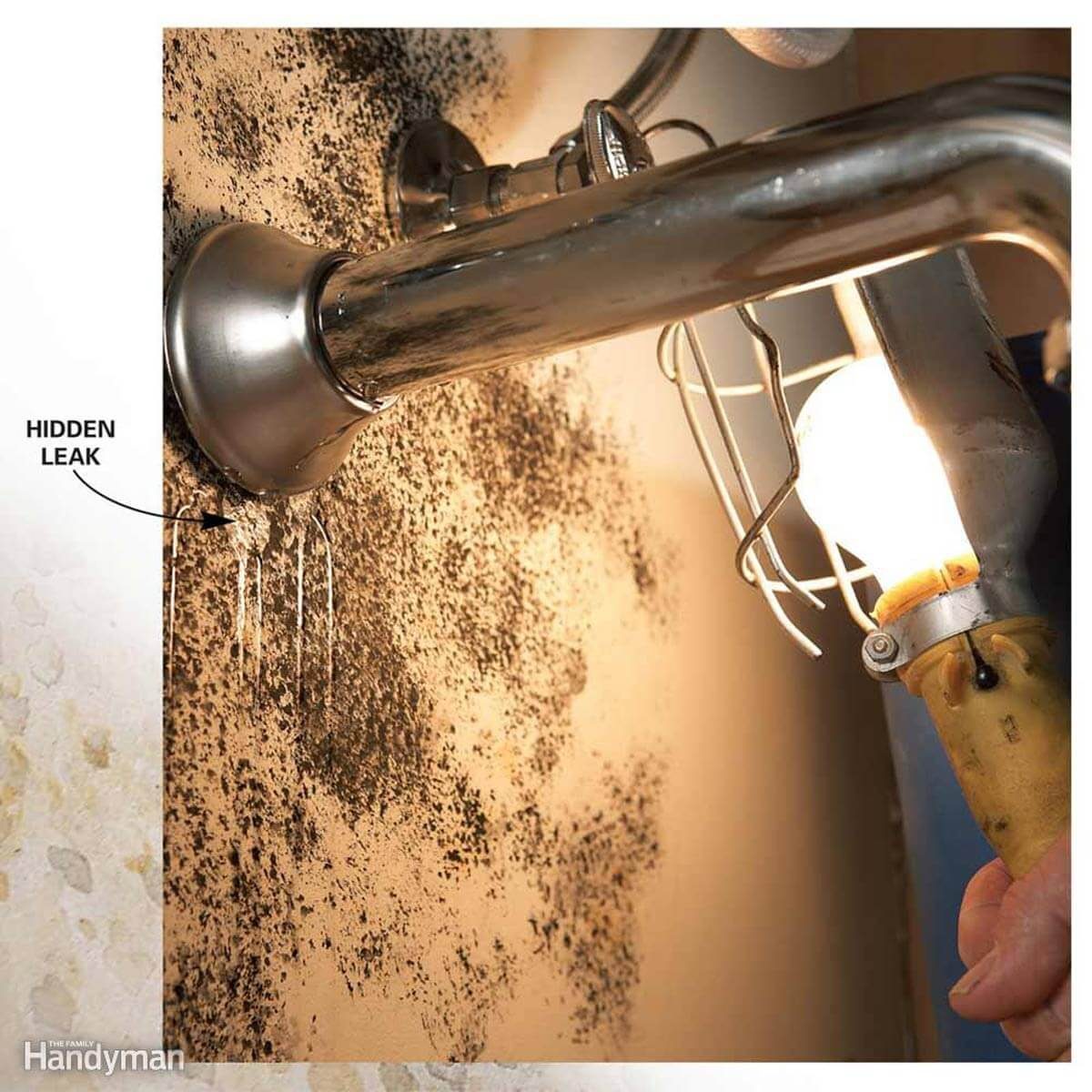 10 Tips For Removing Mold And Mildew The Family Handyman