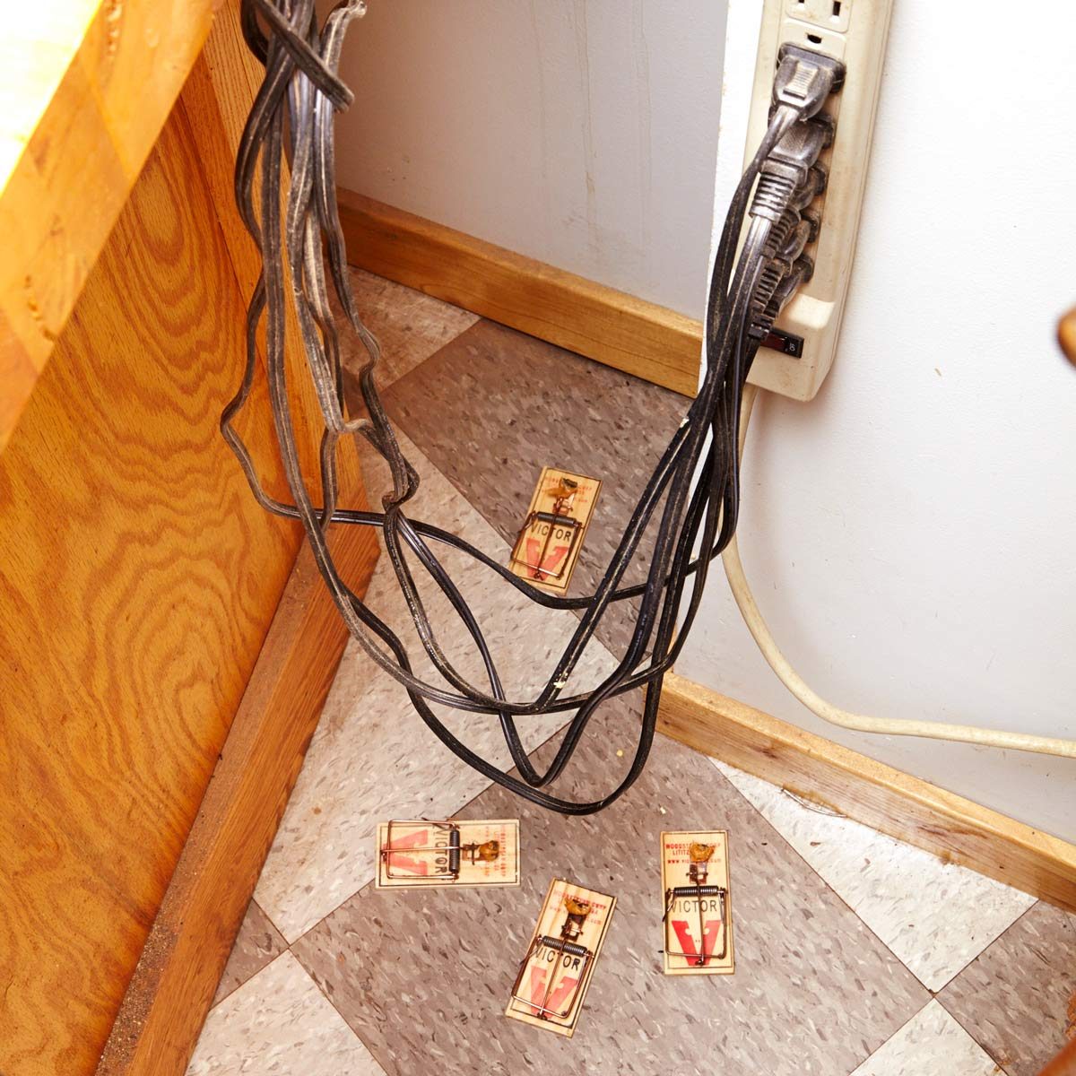 How to Catch a Mouse in the House: Look for the Pathways