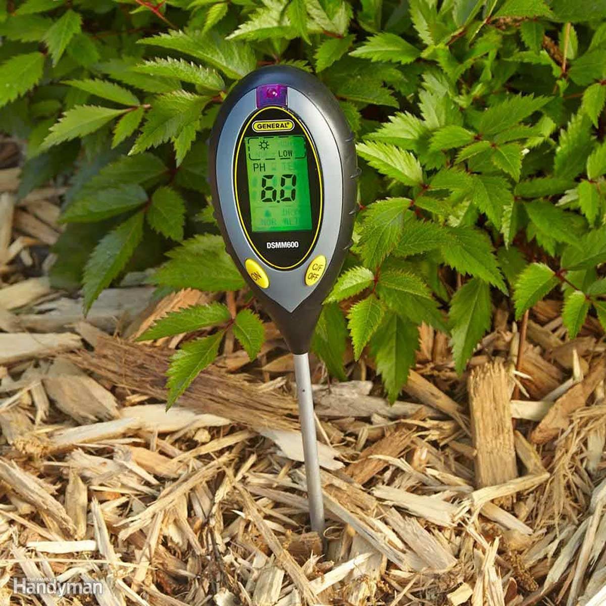 Soil Testing Made Easy: General 4-in-1 Soil Condition Meter