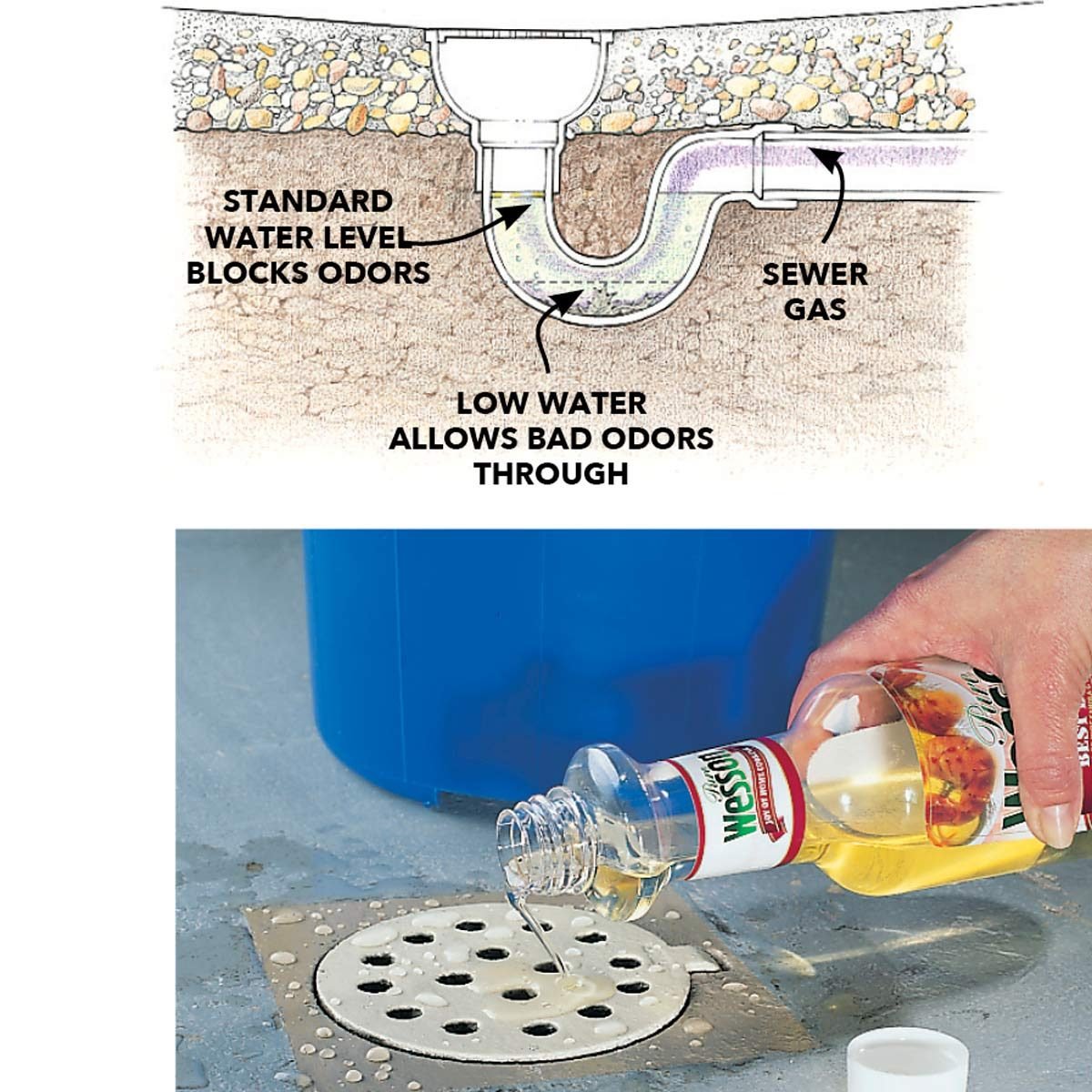 How To Get Smell Out Of Basement Drain The Best Picture