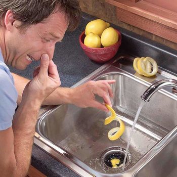 lemon rind down sink disposal