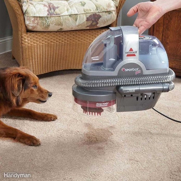 Pet Cleaner