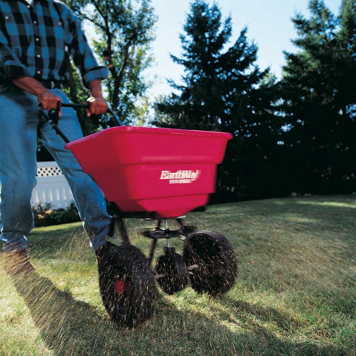 seed-spreader-lawn-care