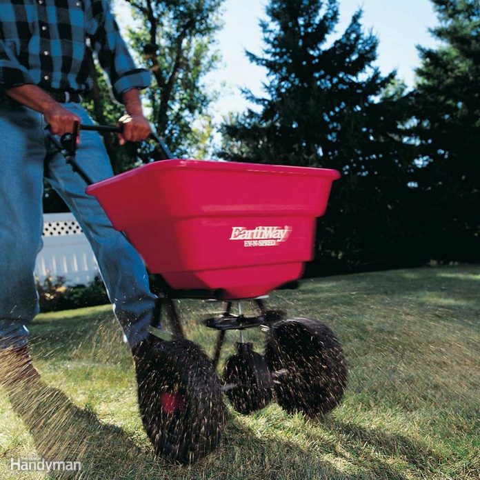 seed-spreader-lawn-care