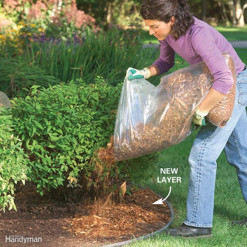 Will Mulch Stop Weeds?