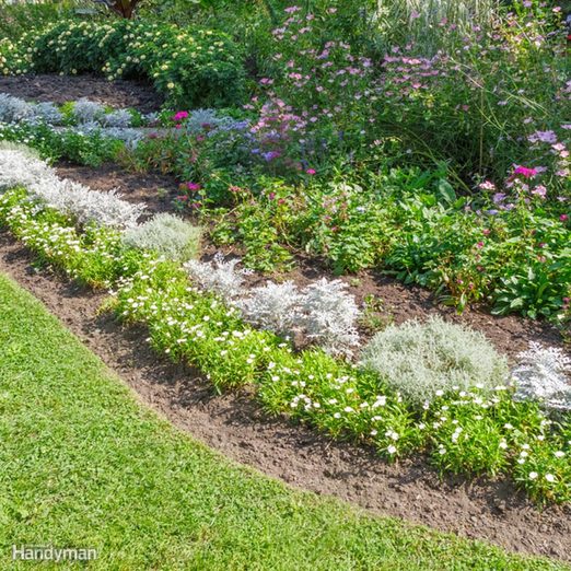 Ground Cover Alternatives to Grass Lawns | Family Handyman