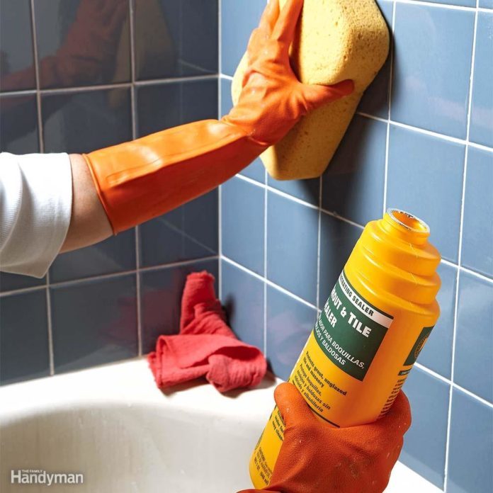 10 Tips For Removing Mold and Mildew The Family Handyman