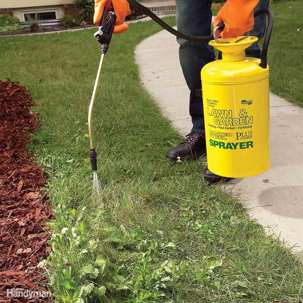 Treat Weed Patches With a Small Tank Sprayer