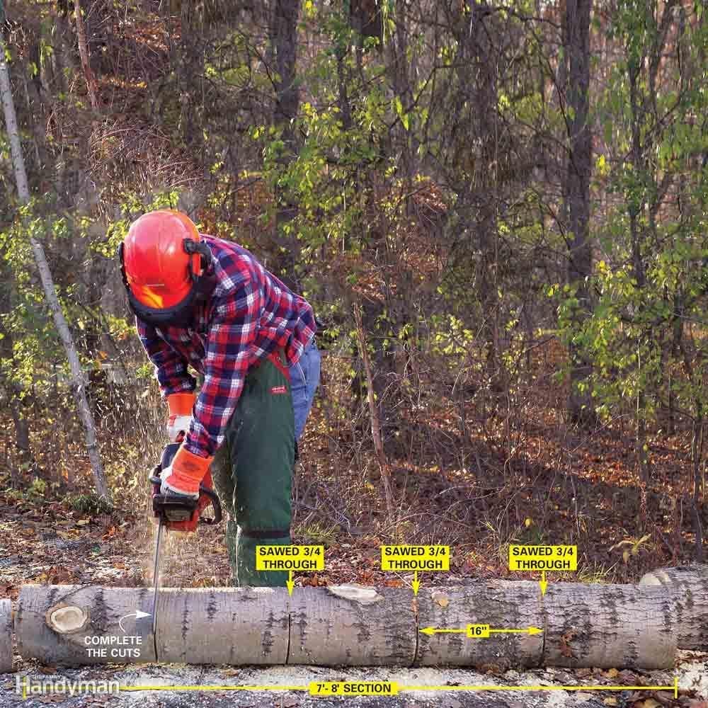 Saw the Trunk into Firewood