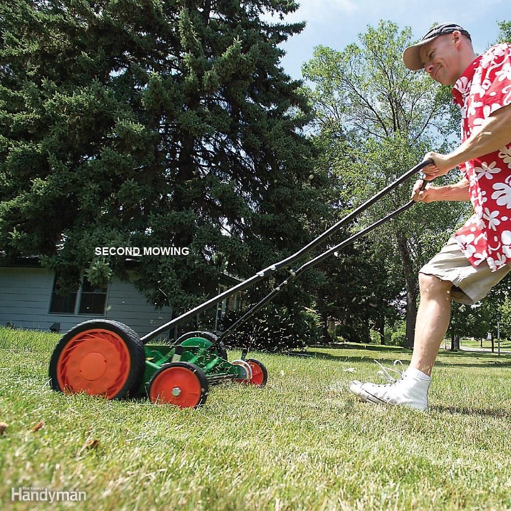 Get rid of crabgrass — Lawn Care Tips from The Family Handyman