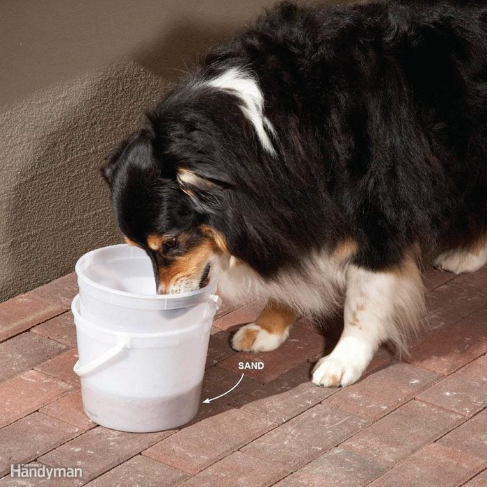 Wind-Proof Dog Dishes