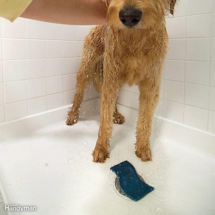 Fur Filter for Dog Bathing