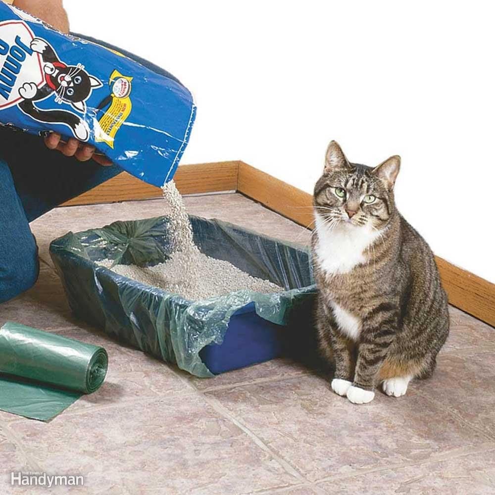 Quick Cleanup Cat Litter
