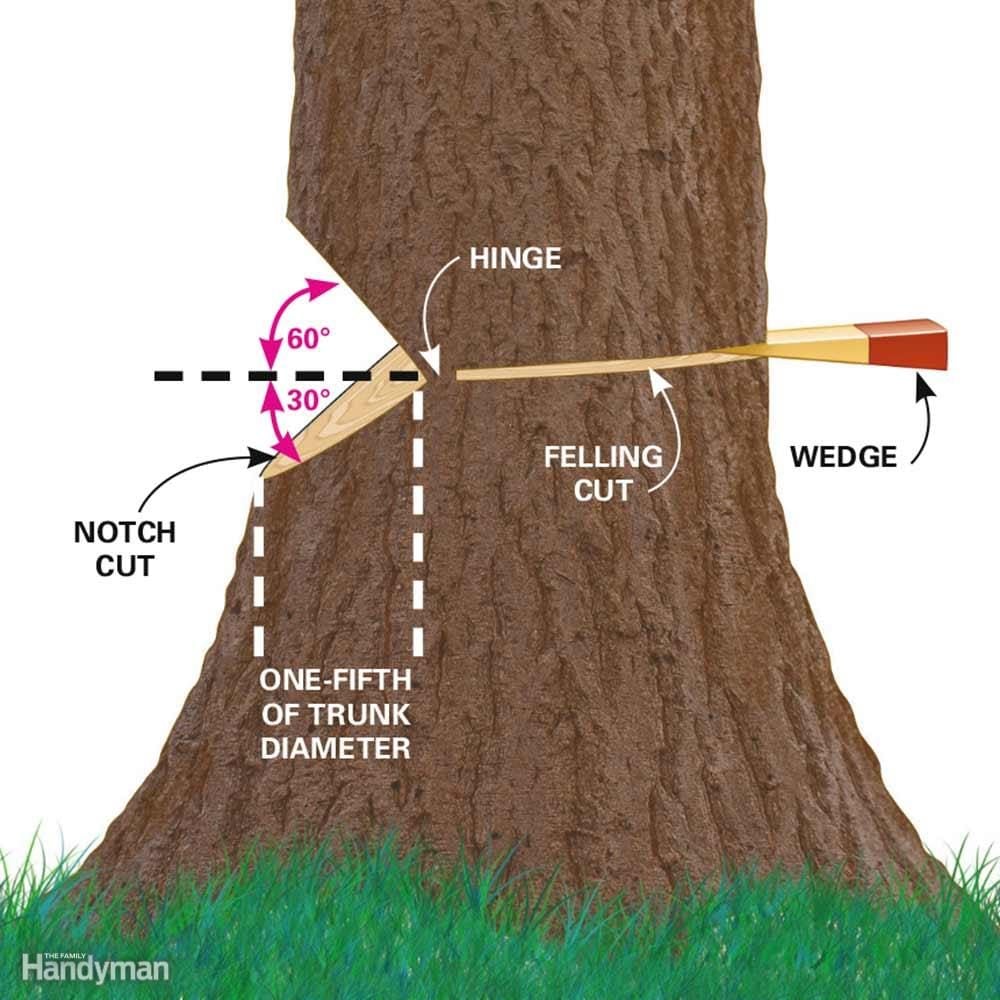 Anatomy of a Proper Notch