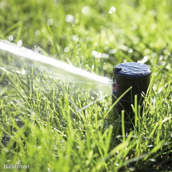 Best Way to Water Lawn: Lawn Watering Wisdom