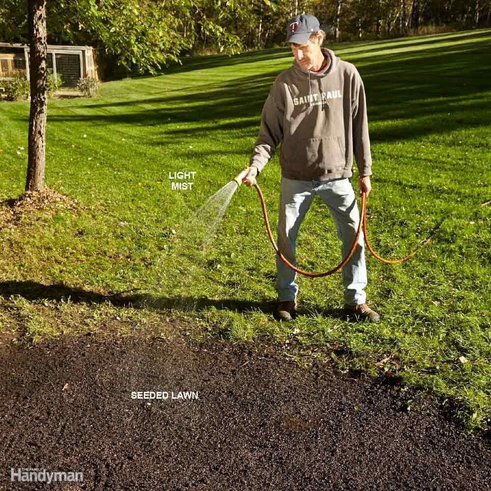 Best Way to Water Lawn: Water Grass Seed Carefully
