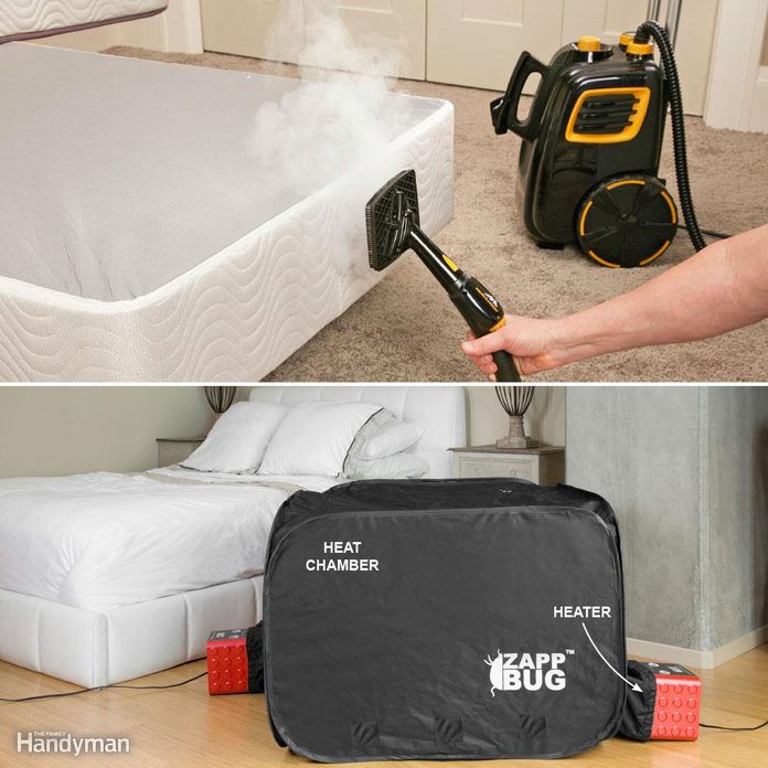 using heat to kill bed bugs