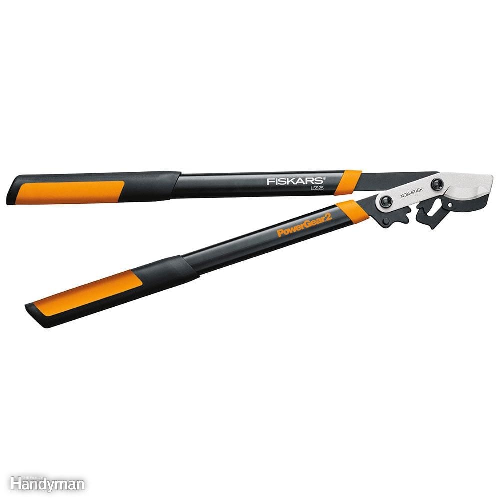 Best Garden Tool for Heavy Pruning: Loppers