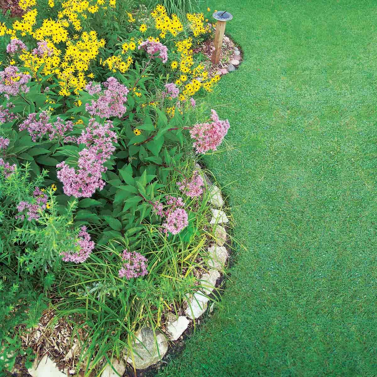 how to build a rain garden in your yard