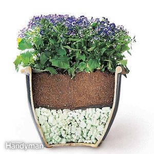Tips for Moving Heavy Potted Plants
