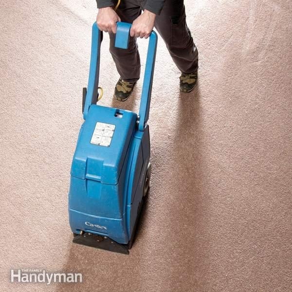 Dry Carpet Cleaning Vs Wet Carpet Cleaning — Kleen-Dri