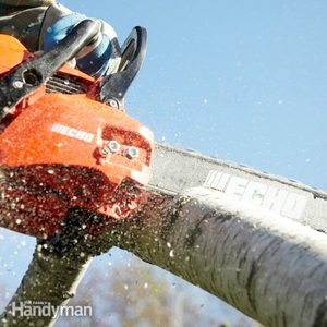 Chainsaw Reviews