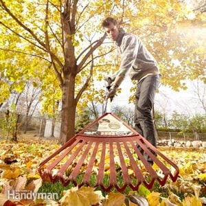 5 Ways Smart Homeowners Deal With Fall Leaves