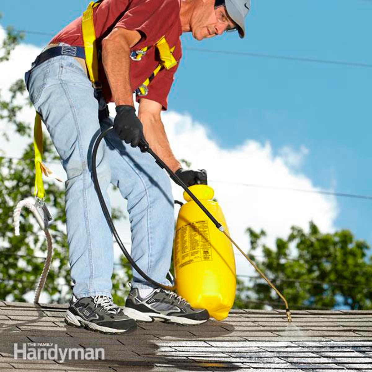 How To Clean Roof Stains Family Handyman