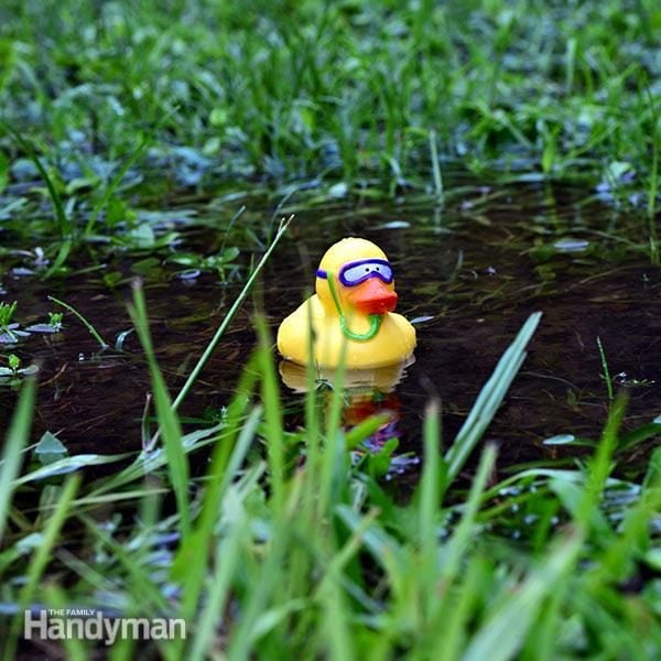 FH16APR_SOGGYA_01-3 standing water in yard