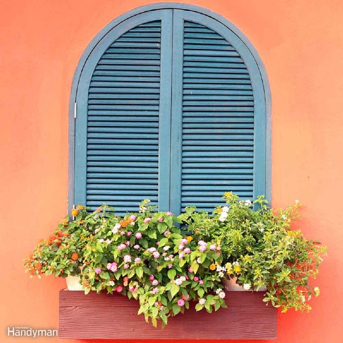 window with shutters and window box