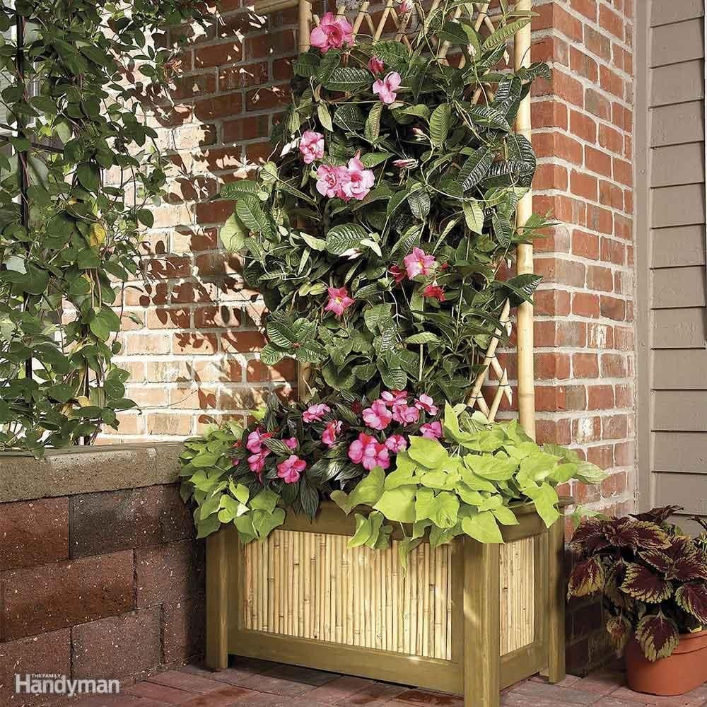 Planter Trellis Combo