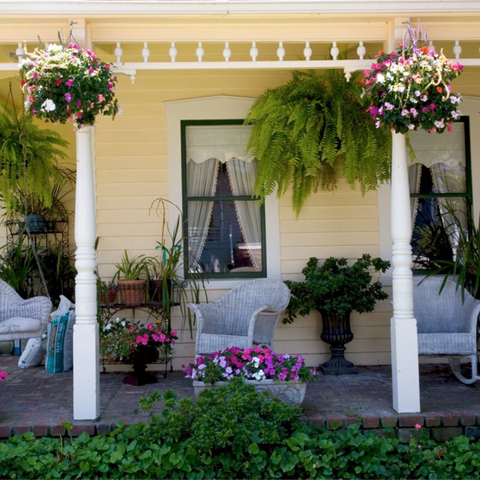 porch with plants