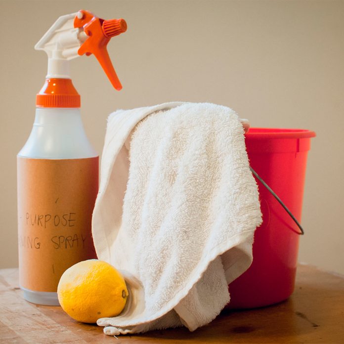 Homemade All-Purpose Cleaner