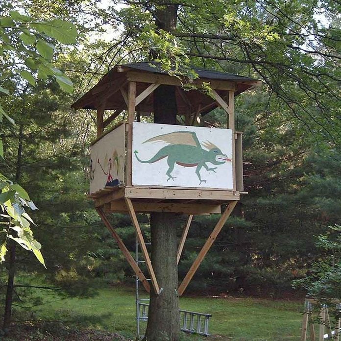 modest treehouse with dragon painted on the side