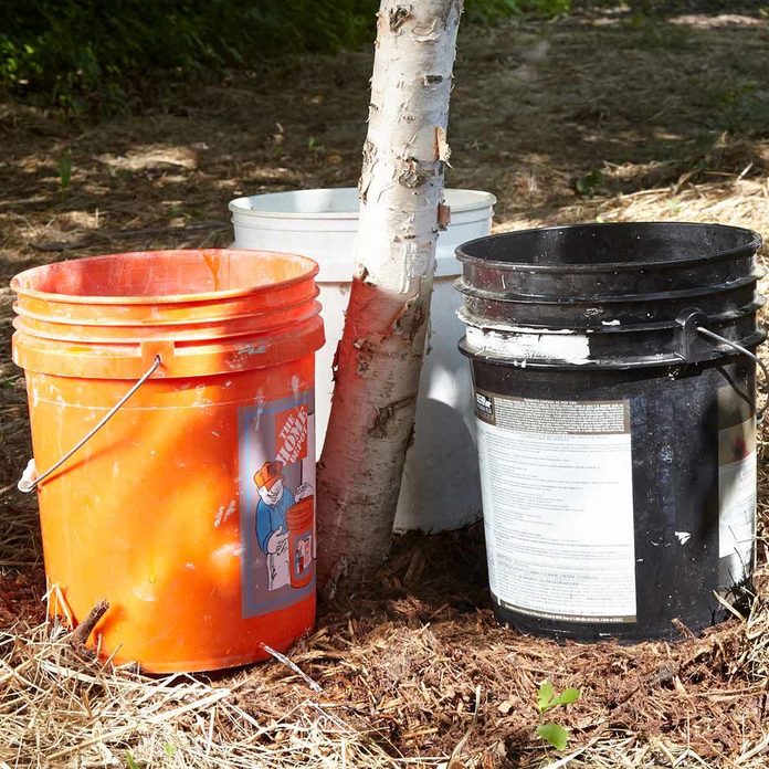 Better tree watering 5 gallon bucket
