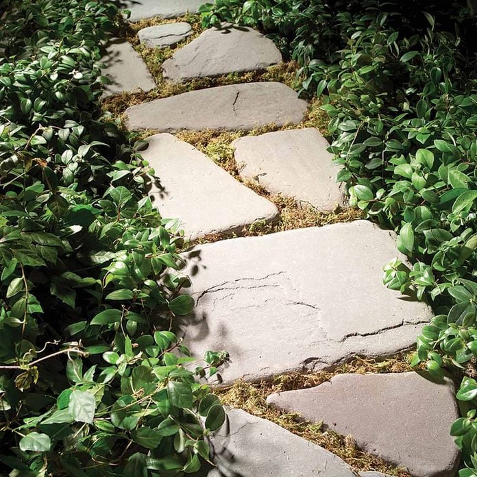 planted path with stepping stones