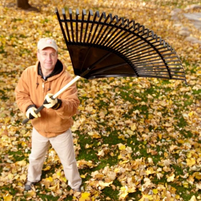 14 Tips for Dealing with Leaves Like a Pro | Family Handyman