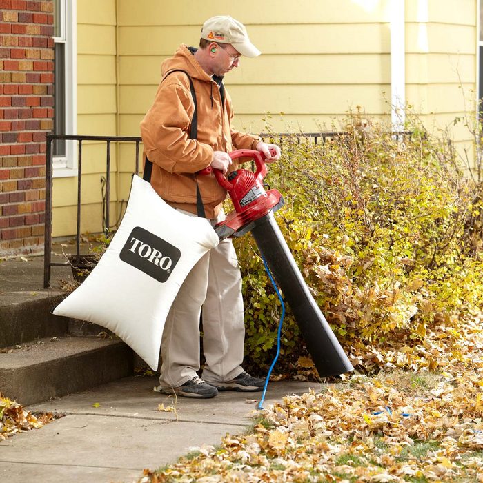 14 Tips for Dealing with Leaves Like a Pro | Family Handyman