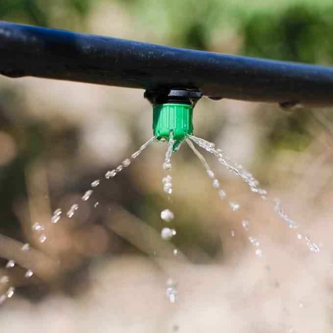 Implement Micro Irrigation