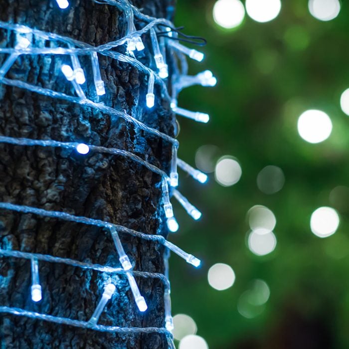 Outdoor Tree Lighting Ideas: Wrap Trunks