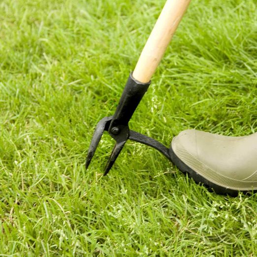 Make Yard Work Easier with these 12 Tools | Family Handyman