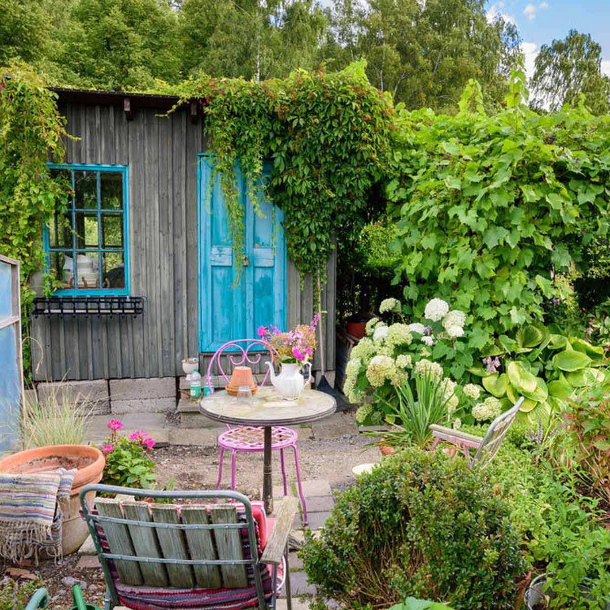 bitro patio greenery shed moss flowers