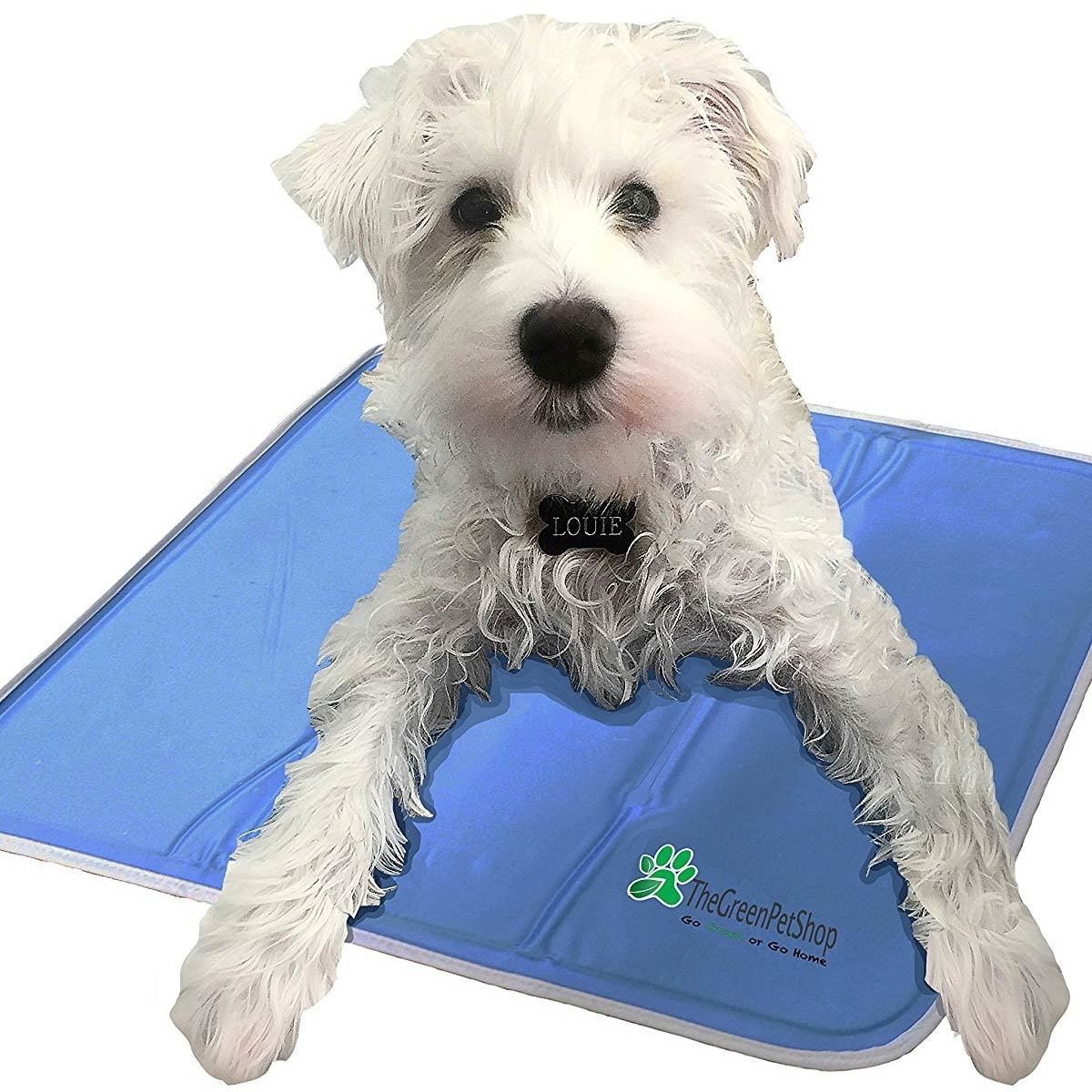 Warming or Cooling Pad for Your Pet