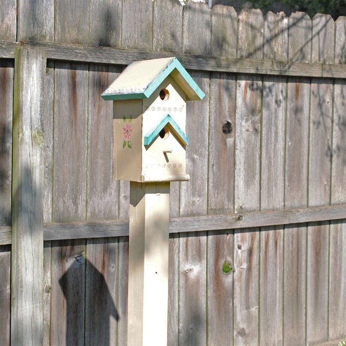 birdhouse post