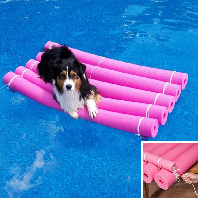 Crafty Water Raft pool noodle dog