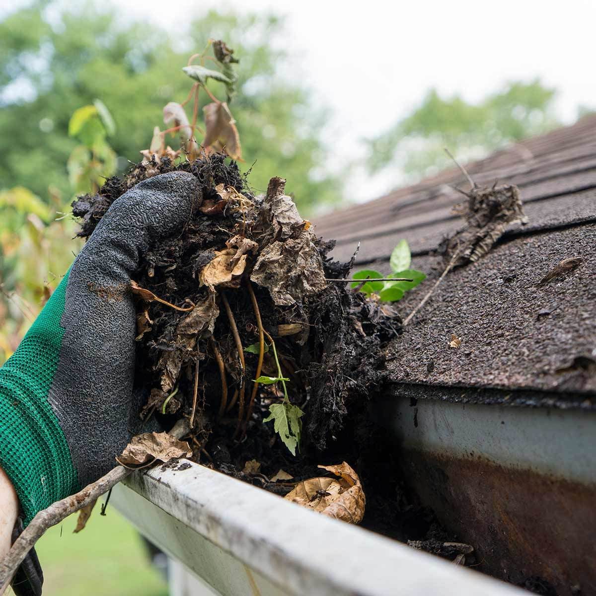 Clean Out Your Gutters