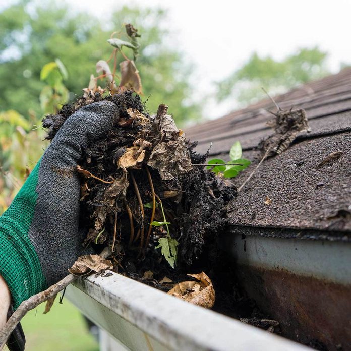 Clean up roof and gutters