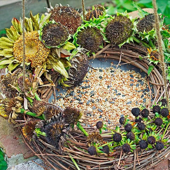 bird feeder wreath